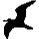 n.grohmann@multiplicatum.de