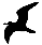 n.grohmann@multiplicatum.de
